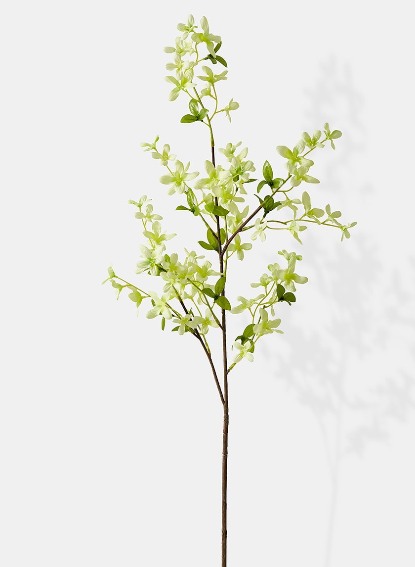 40in Long Pale Green Forsythia Spray, Case of 12