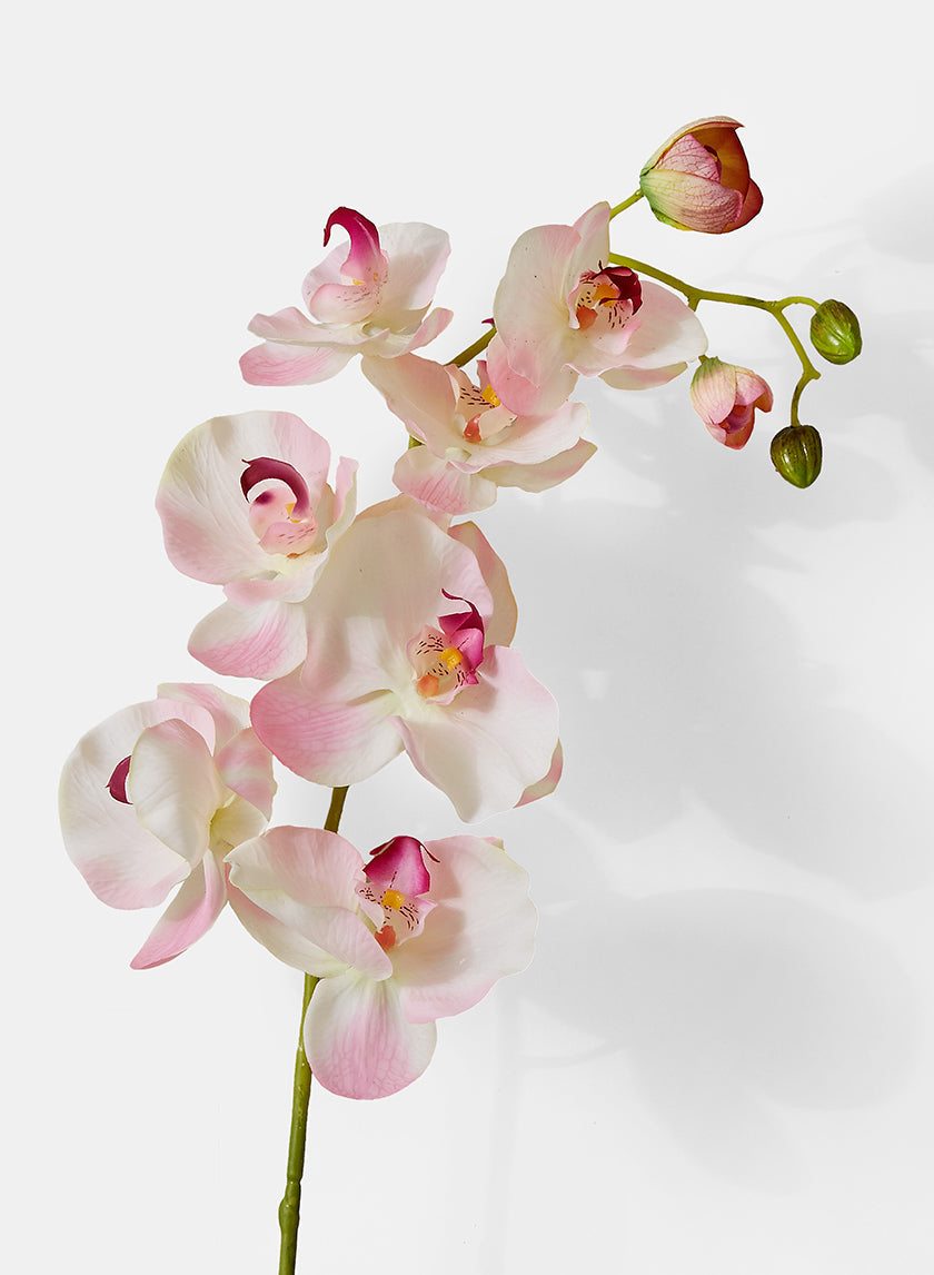43in Long Light Pink Phalaenopsis Orchid Spray, Case of 12