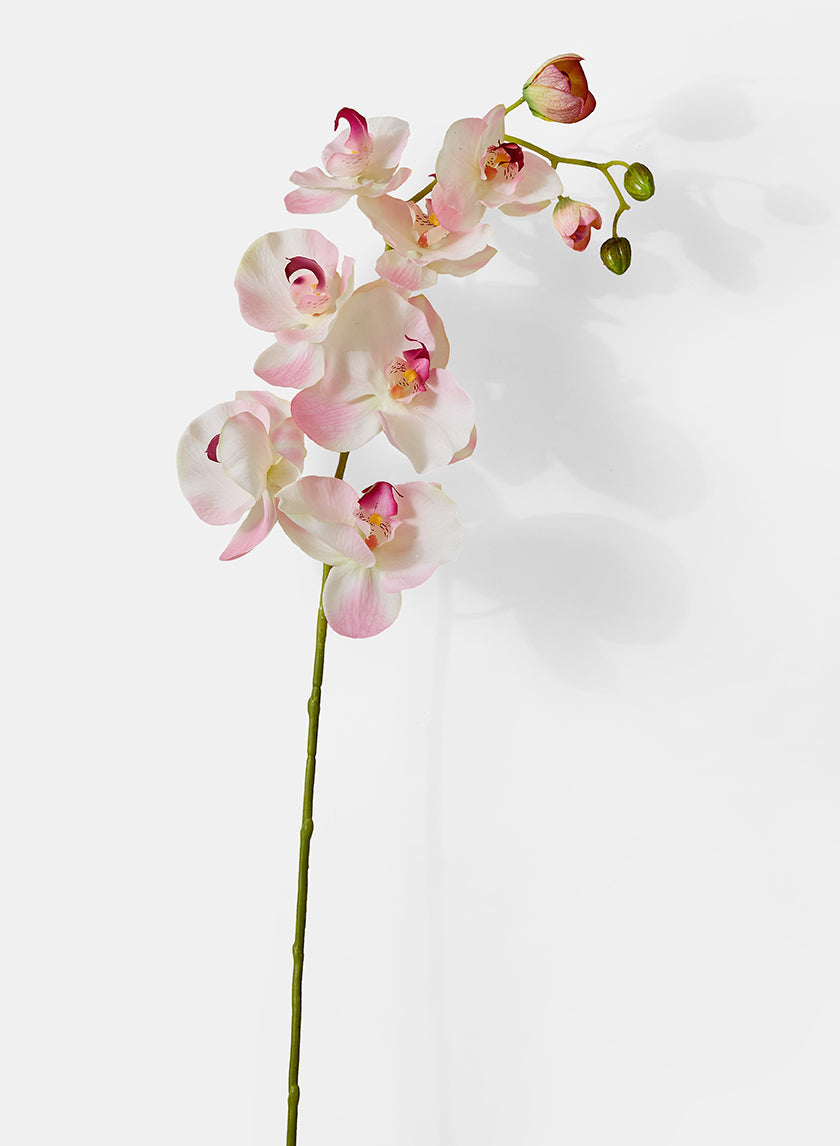 43in Long Light Pink Phalaenopsis Orchid Spray, Case of 12