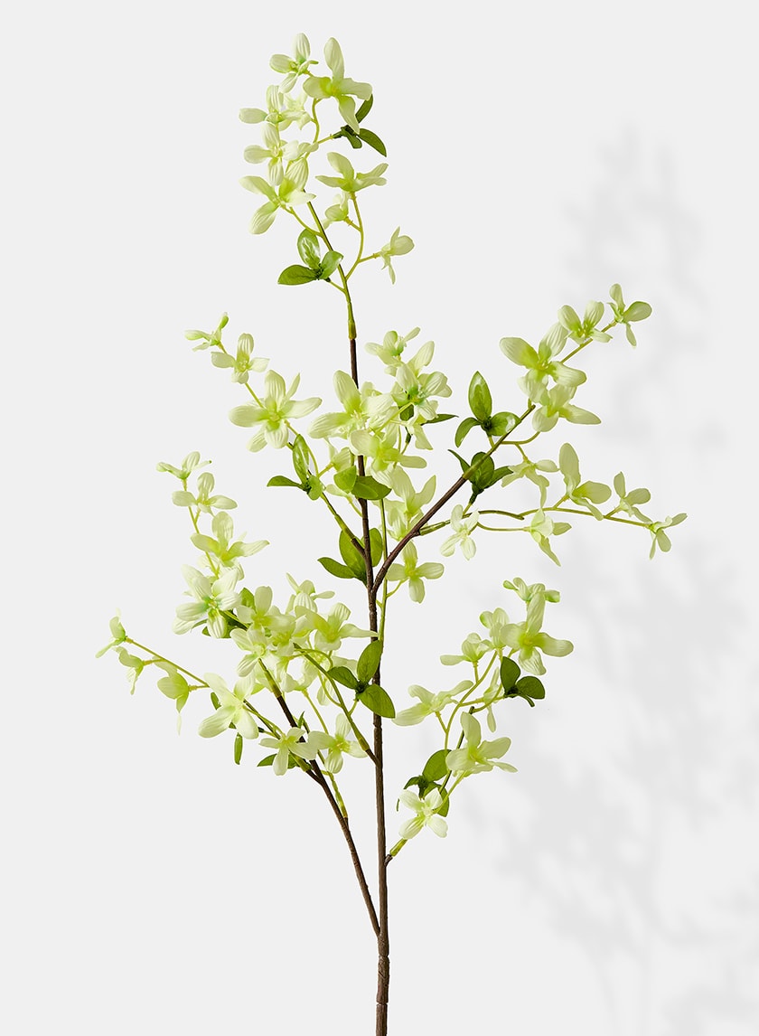 40in Long Pale Green Forsythia Spray, Case of 12