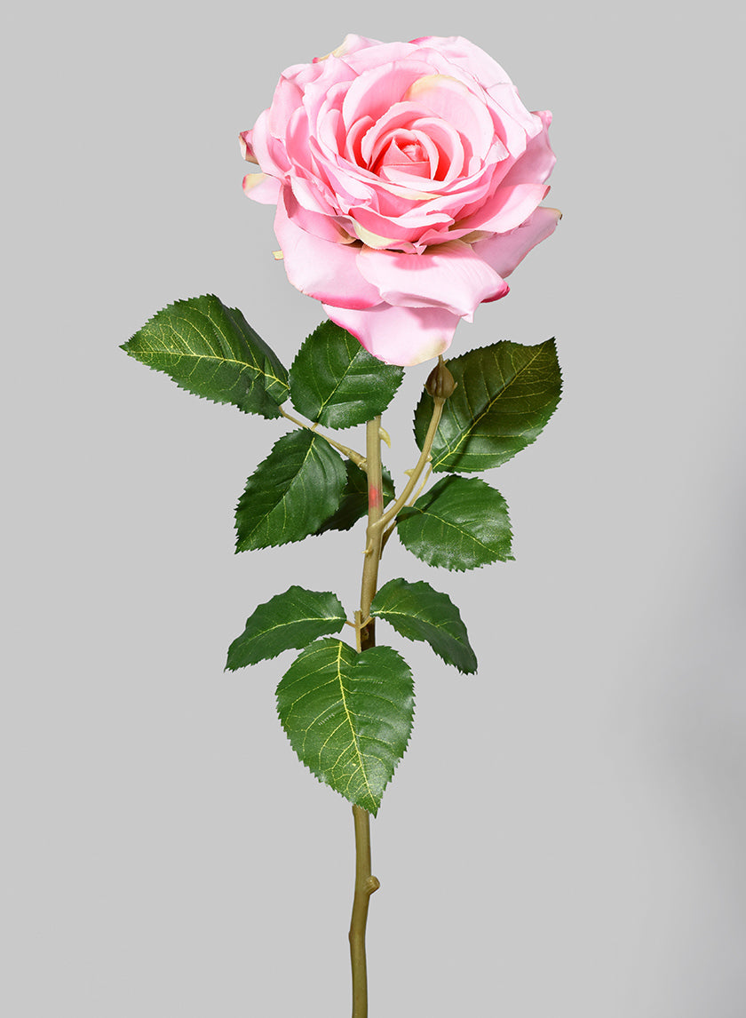 29in Long Pink Cabbage Rose