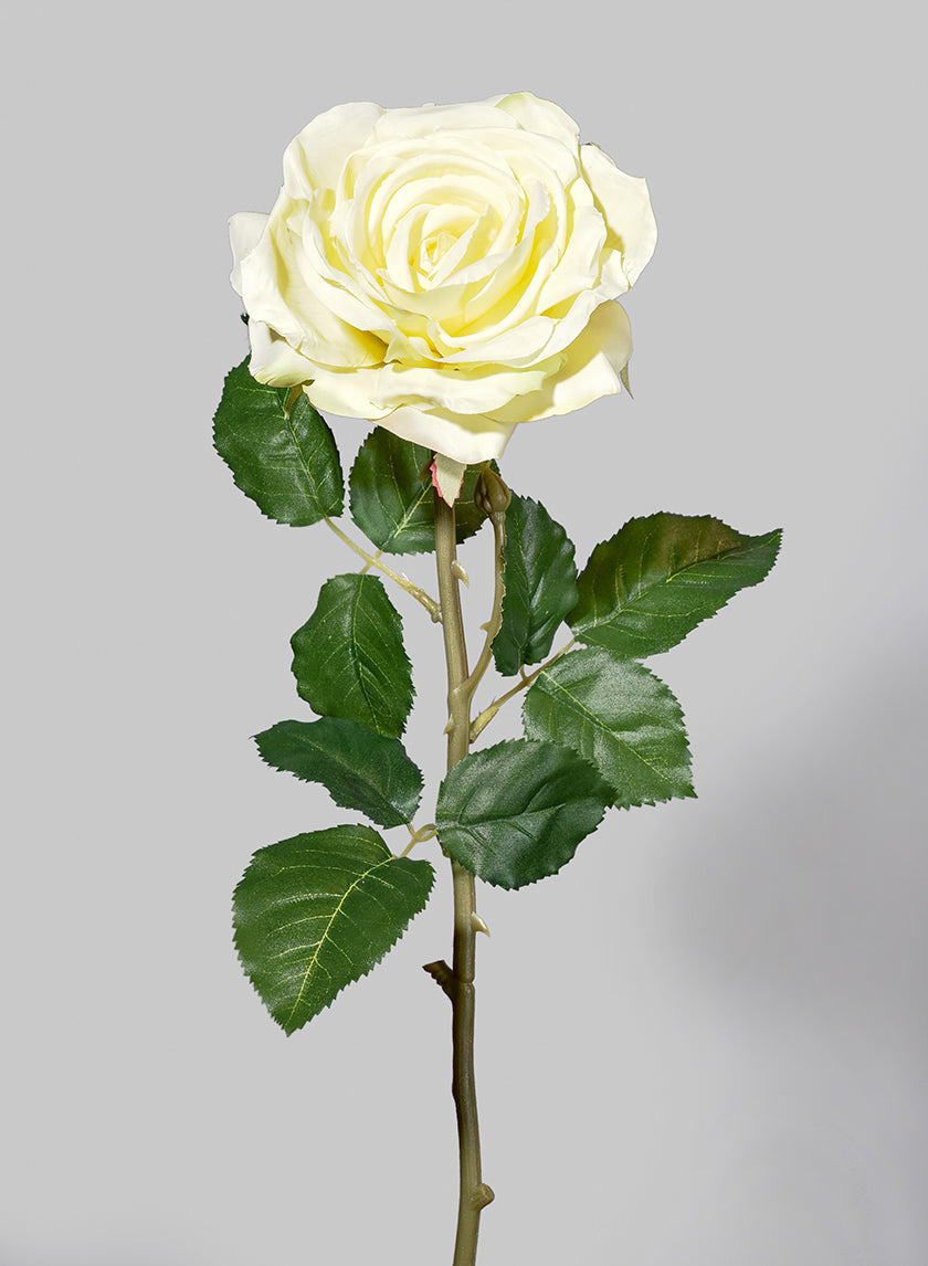 29in Long Pale Yellow Cabbage Rose
