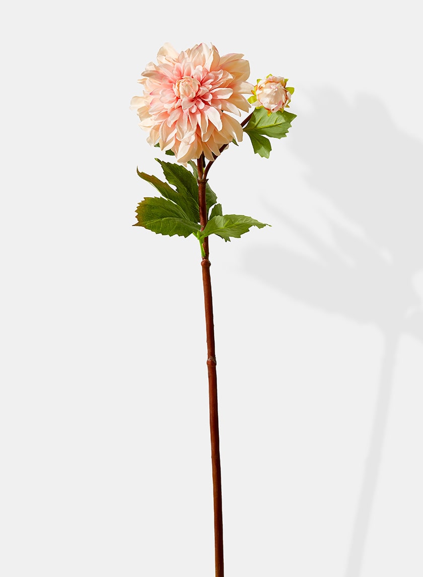 33in Long Peach Dahlia