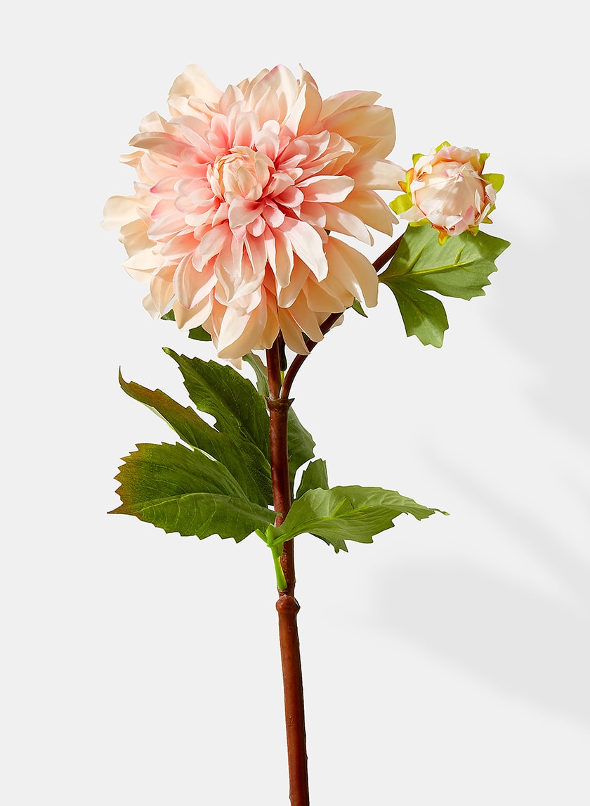33in Long Peach Dahlia