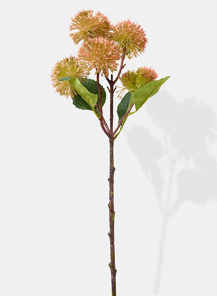 20in Long Pink Dandelion Spray