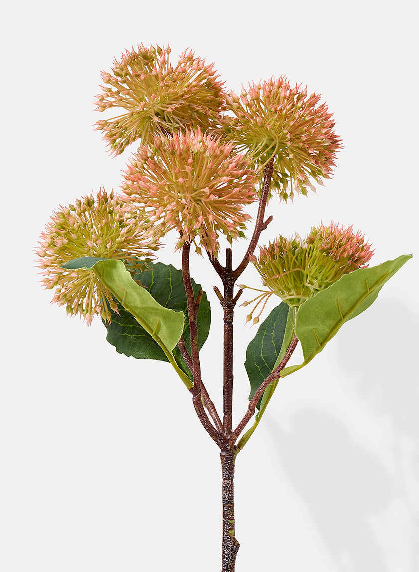20in Long Pink Dandelion Spray