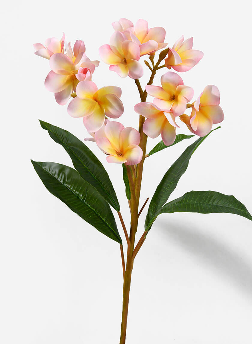 35in Long Pink Frangipani Spray