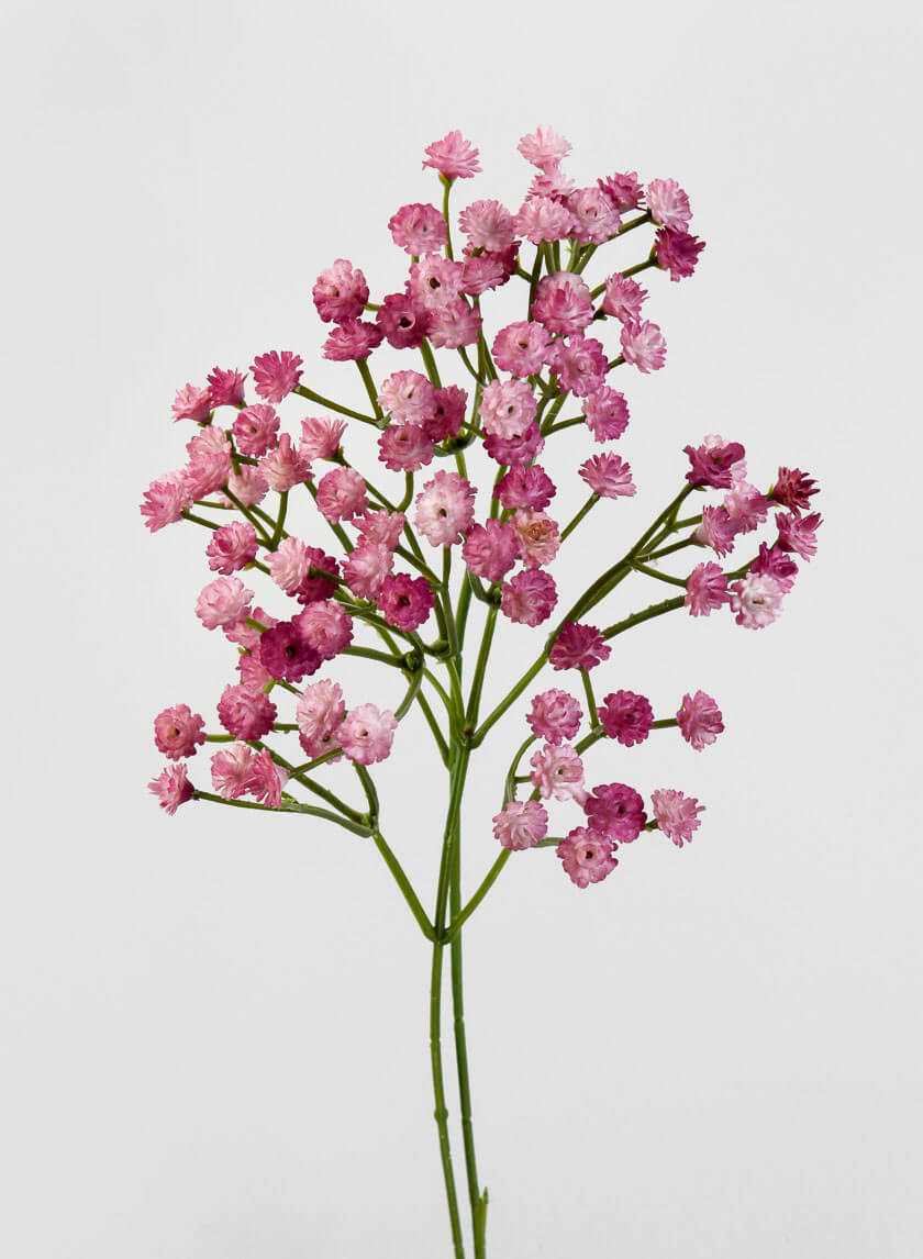 16in Long Pink Gypsophila Spray