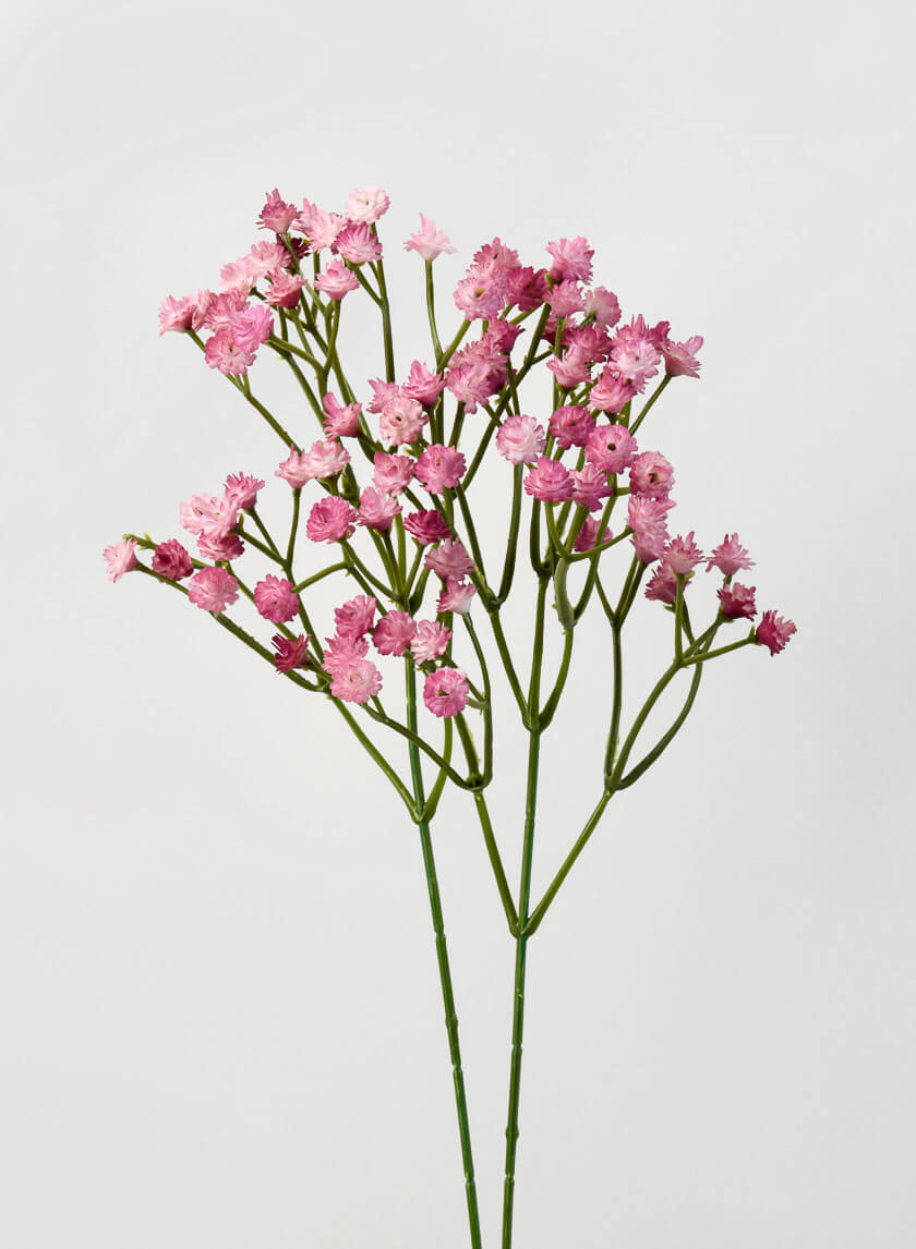 16in Long Blush Gypsophila Spray