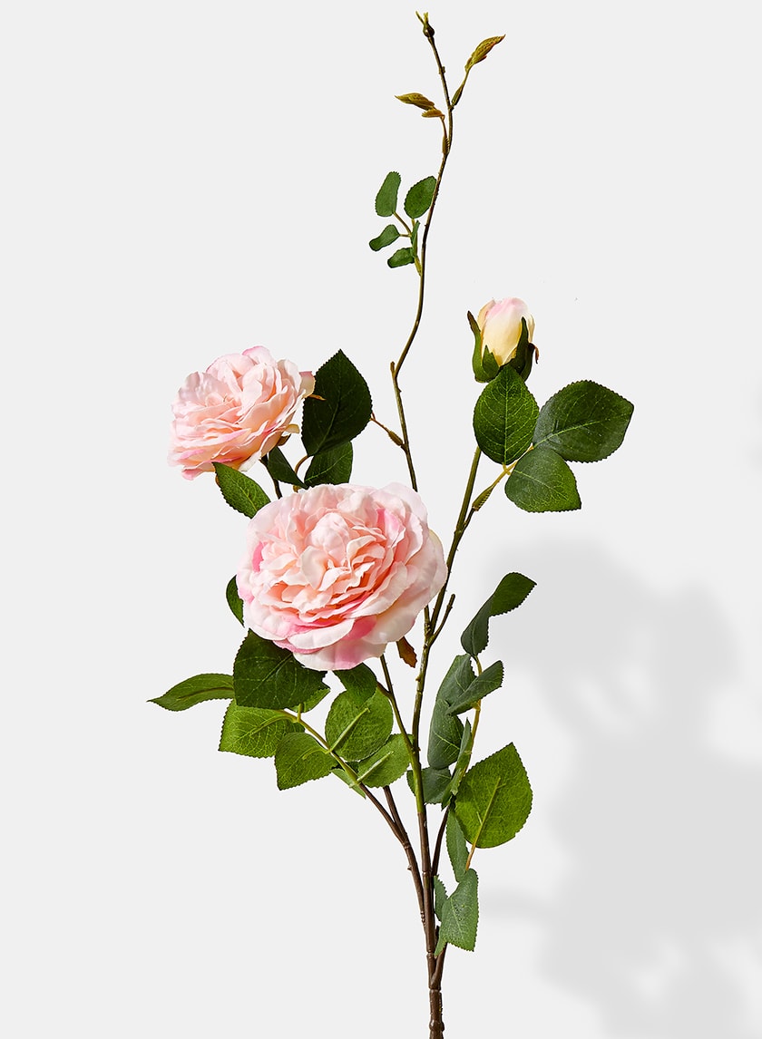 35in Long Pink Peony Rose Spray, Case of 12