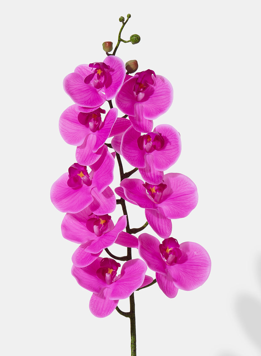 38in Long Pink Phalaenopsis Orchid