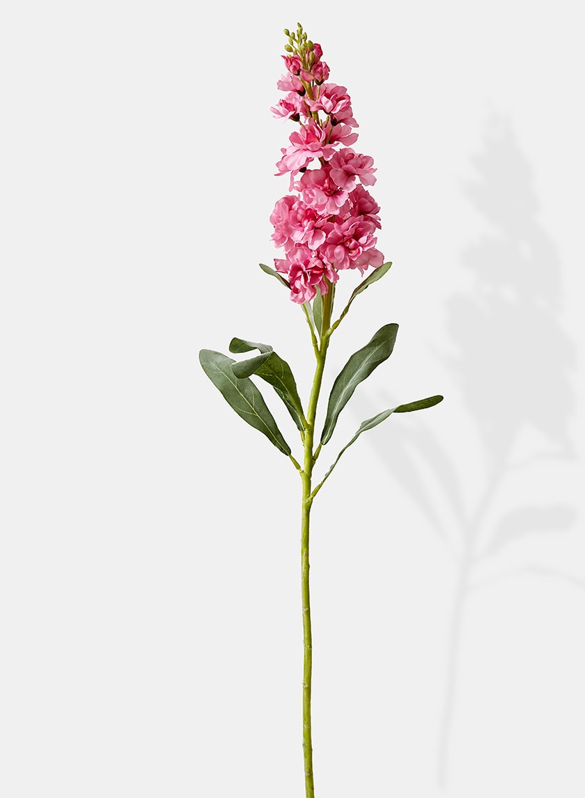31in Long Pink Snapdragon