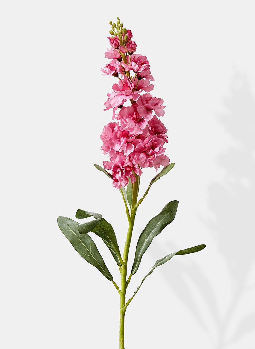 31in Long Pink Snapdragon