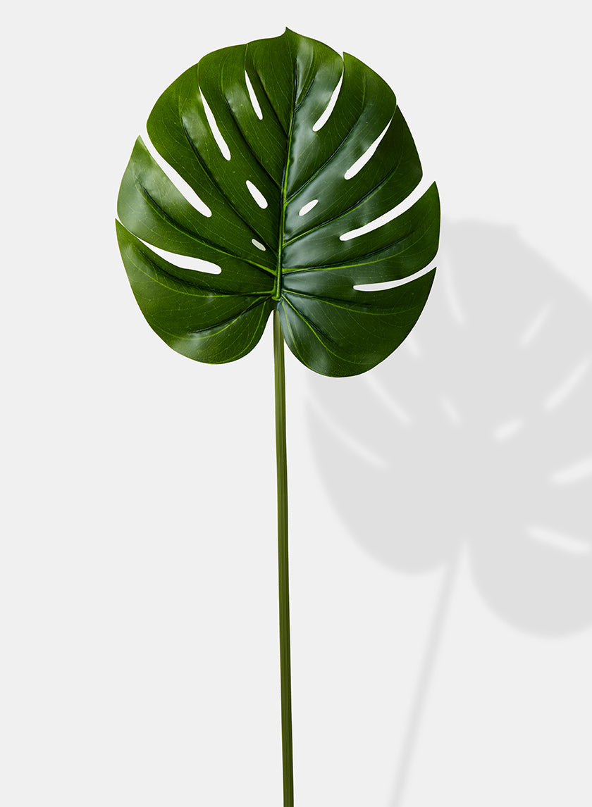 26in Long Real Touch Monstera Leaf, Case of 12