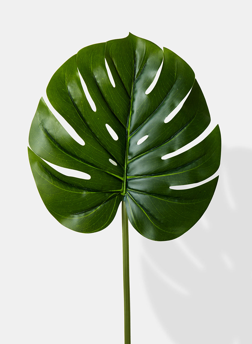 26in Long Real Touch Monstera Leaf, Case of 12