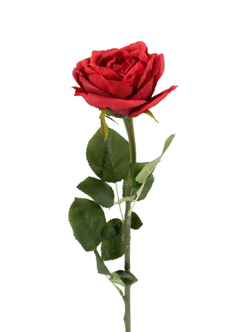 27in Long Red Cabbage Rose