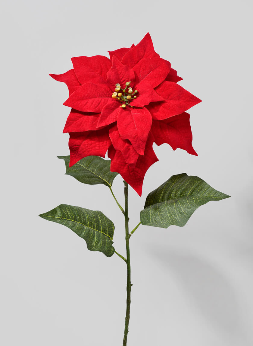 32in Long Red Poinsettia Stem