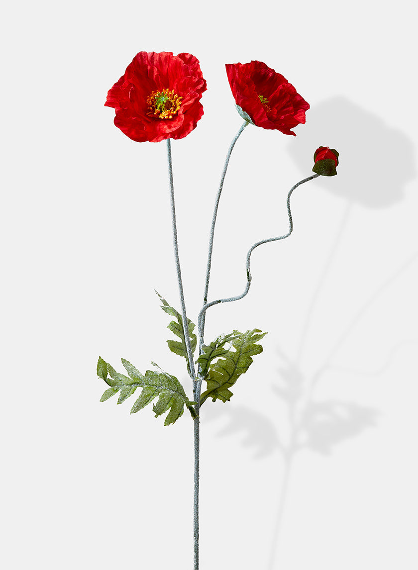 27in Long Poppy