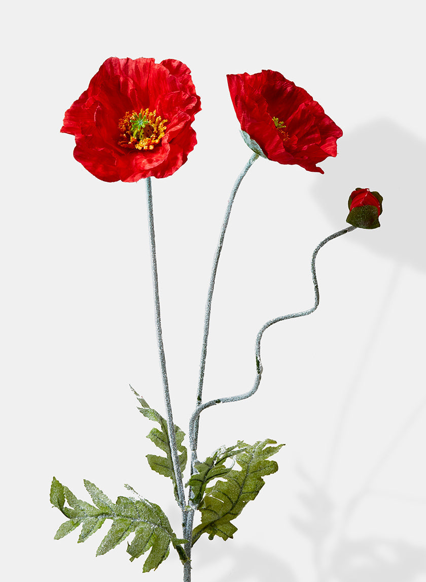 27in Long Poppy
