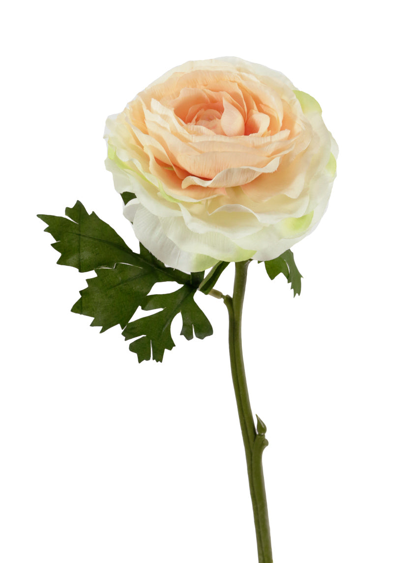 21in Long Peach Ranunculus