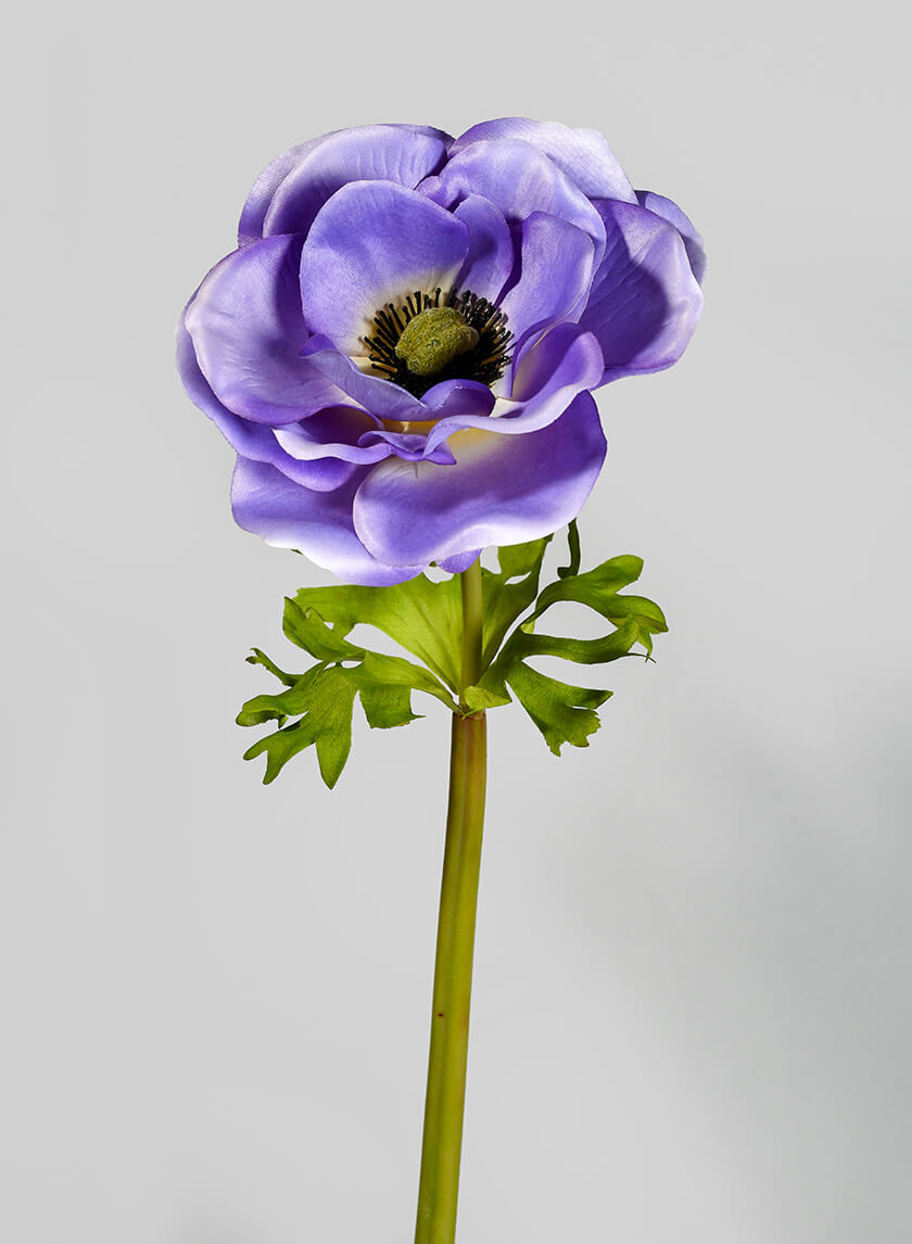 22in Long Blue Anemone