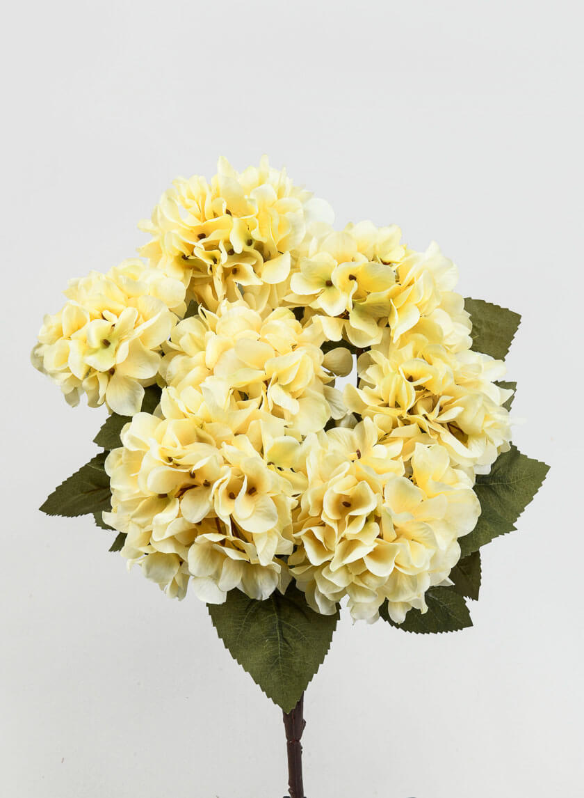 21in Long Small Cream Hydrangea Bush