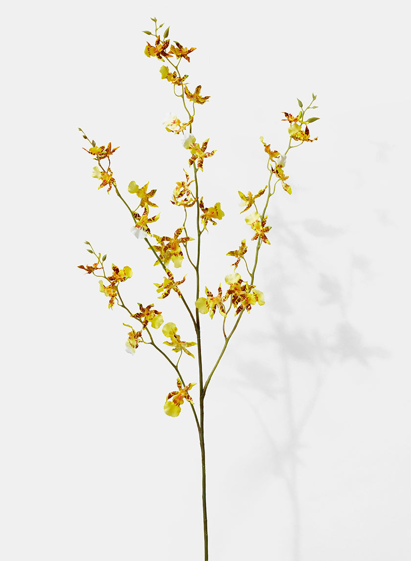 42in Long Tiger Orchid Spray