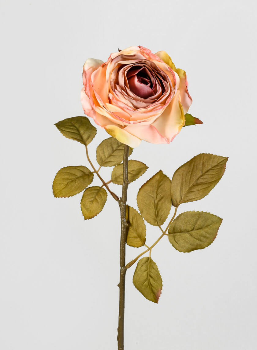 26.5in Long Peach Single Tea Rose Spray