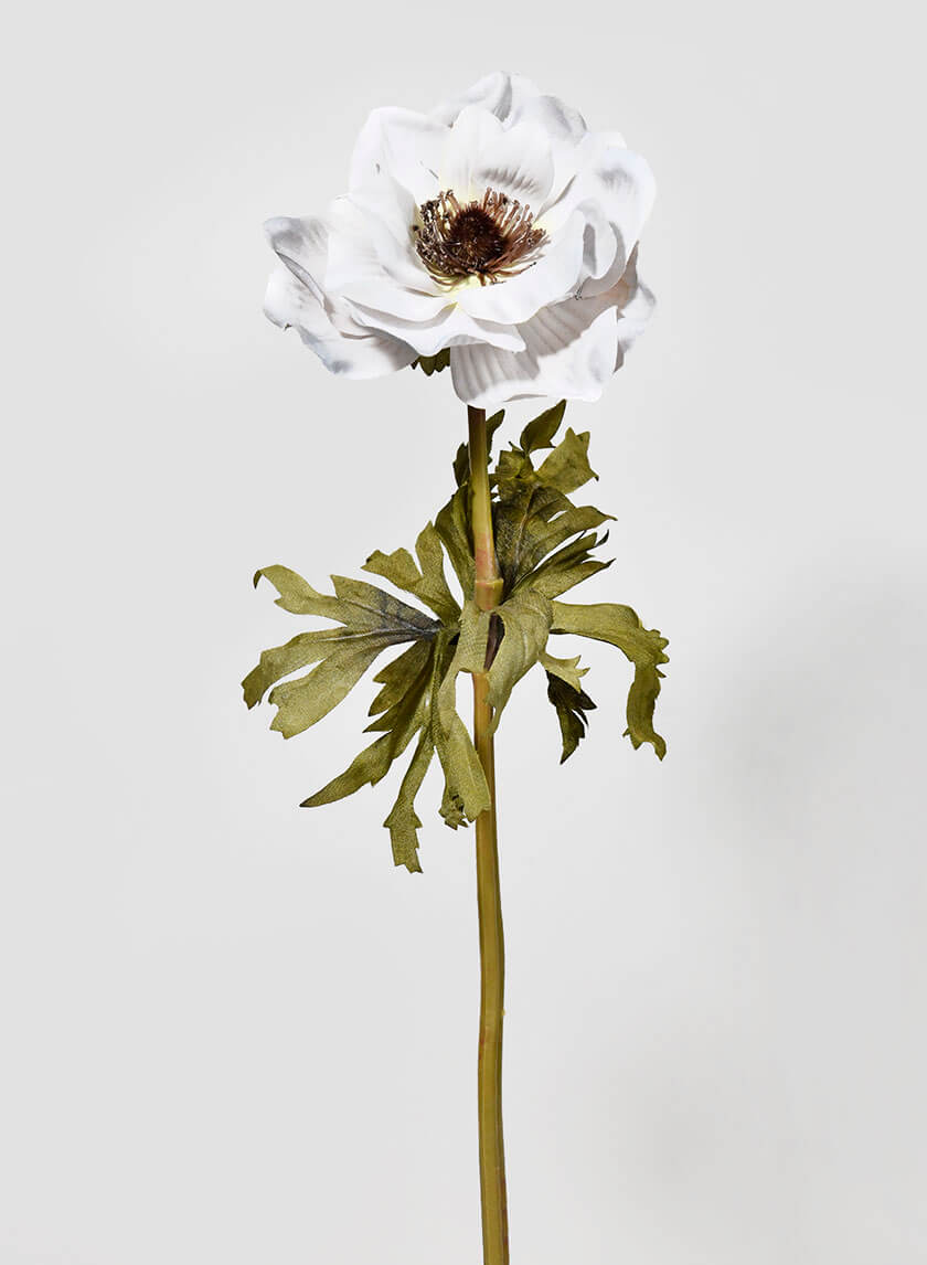 13.5in Long Single Anemone Spray