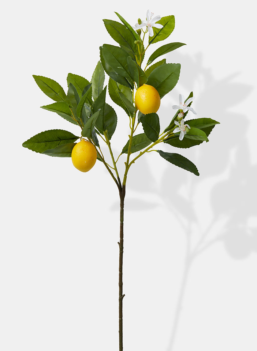 23in Long Baby Lemon Tree Pick