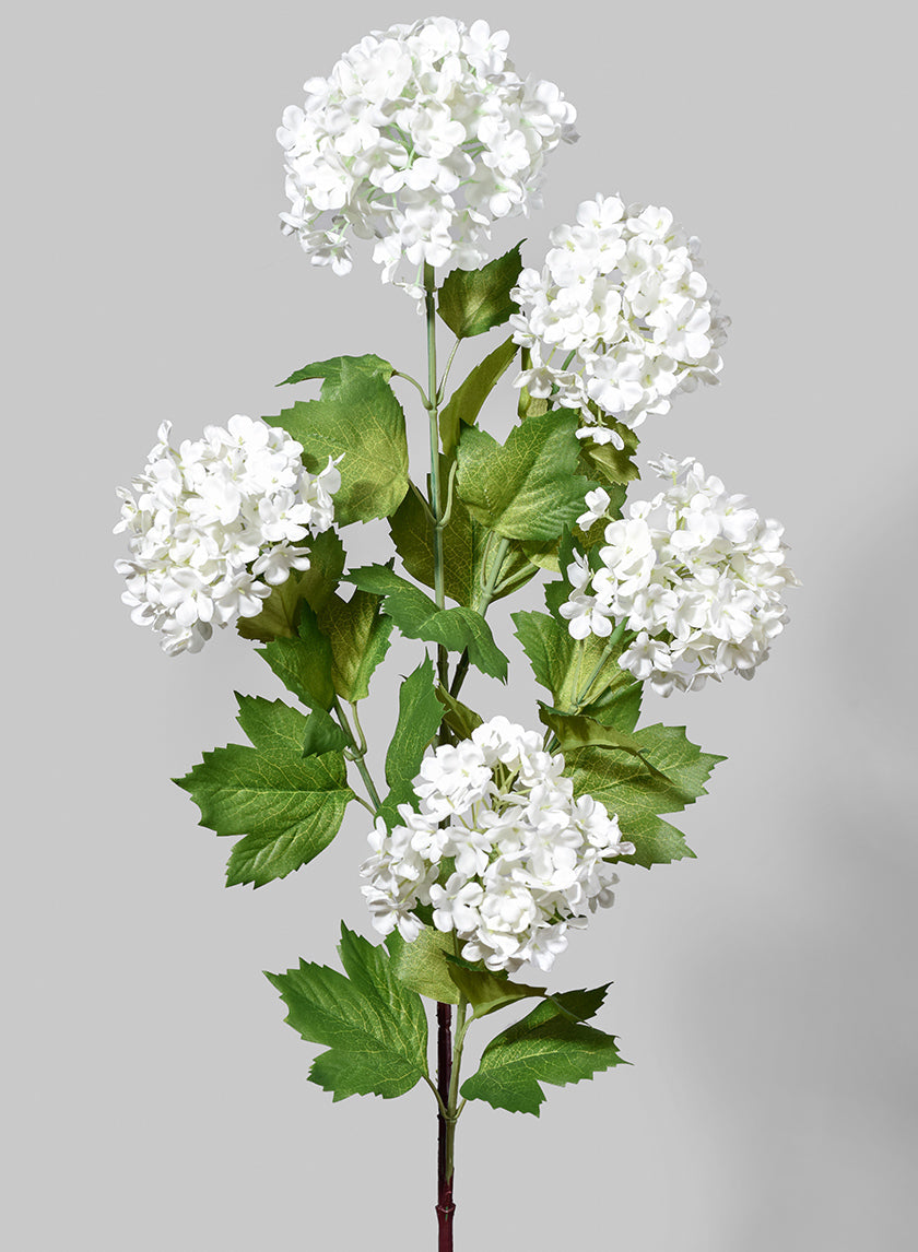 34in Long White Snowball Hydrangea Spray, Case of 12