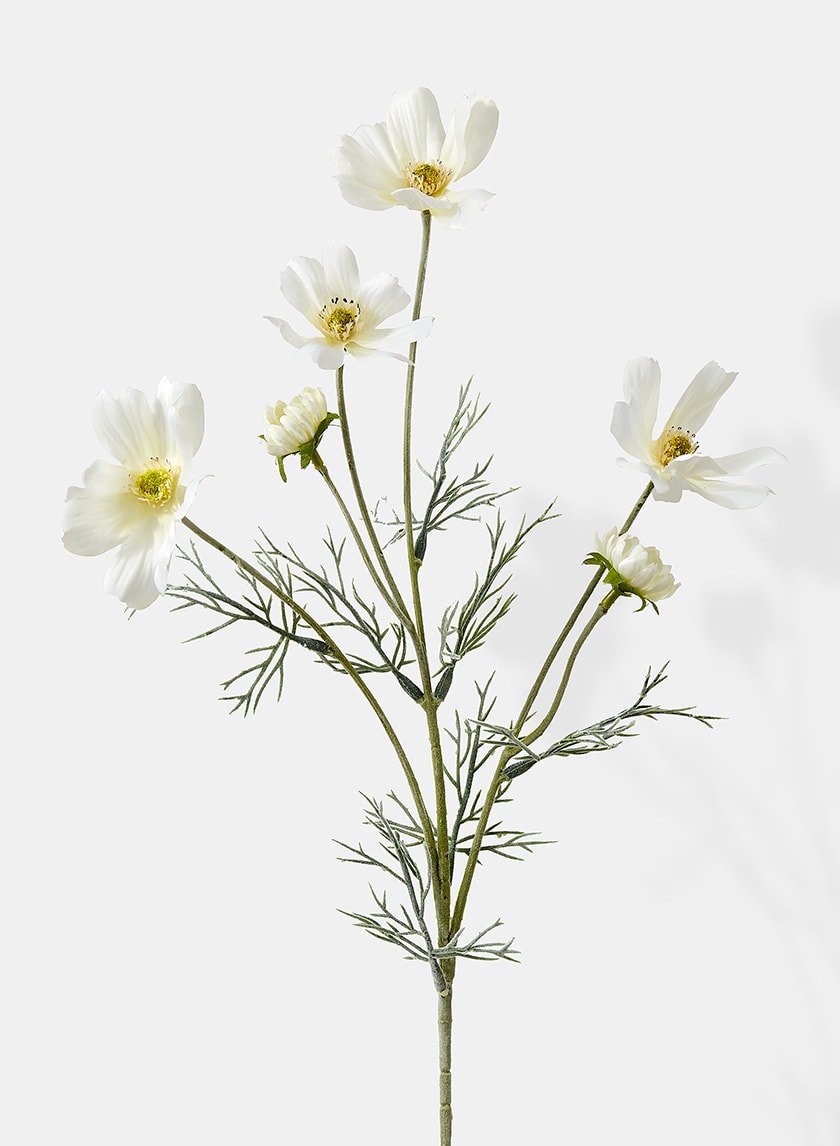 24in Long White Cosmos Spray