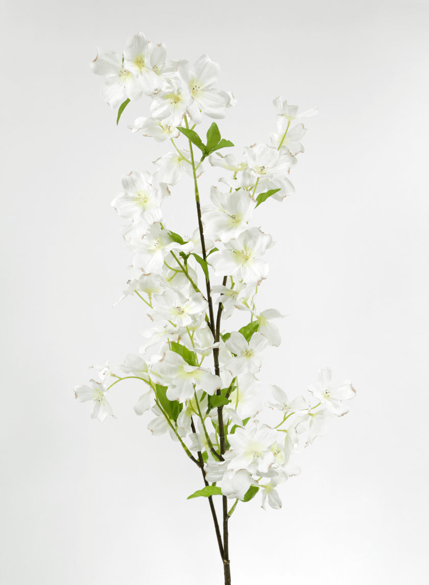 40in Long Pale Green Dogwood Branch, Case of 12