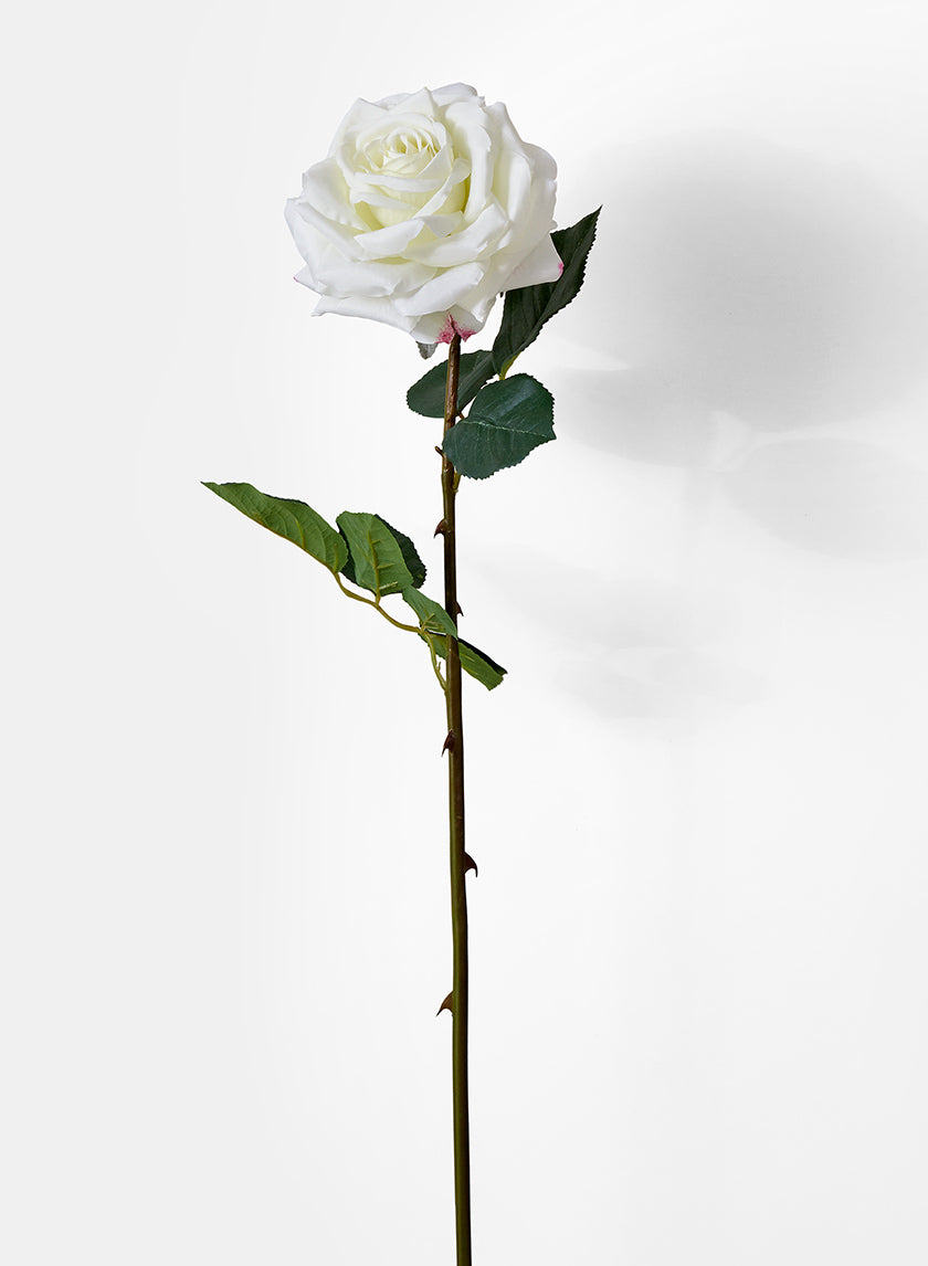 31in Long White Garden Rose