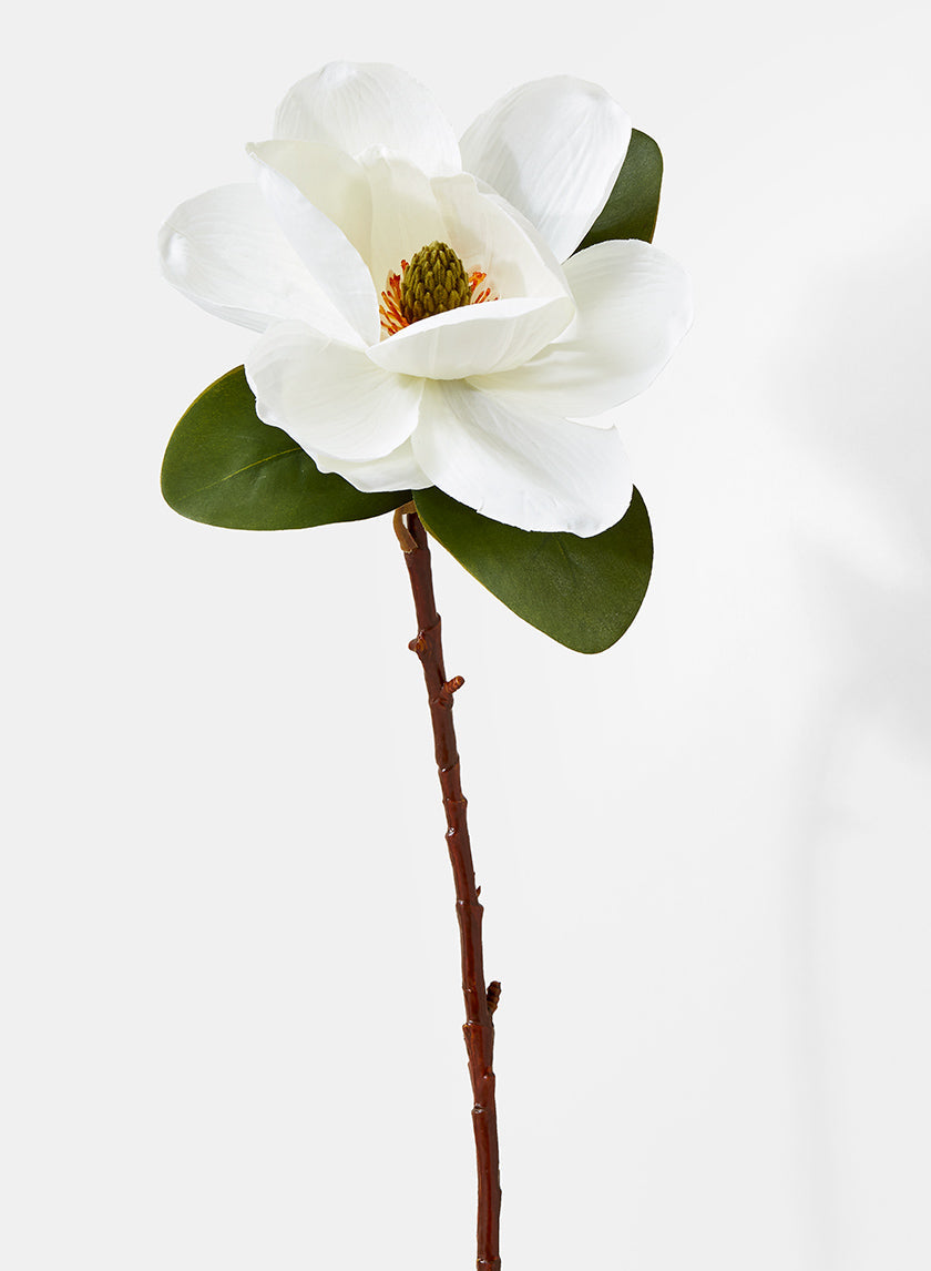 20in Long Magnolia