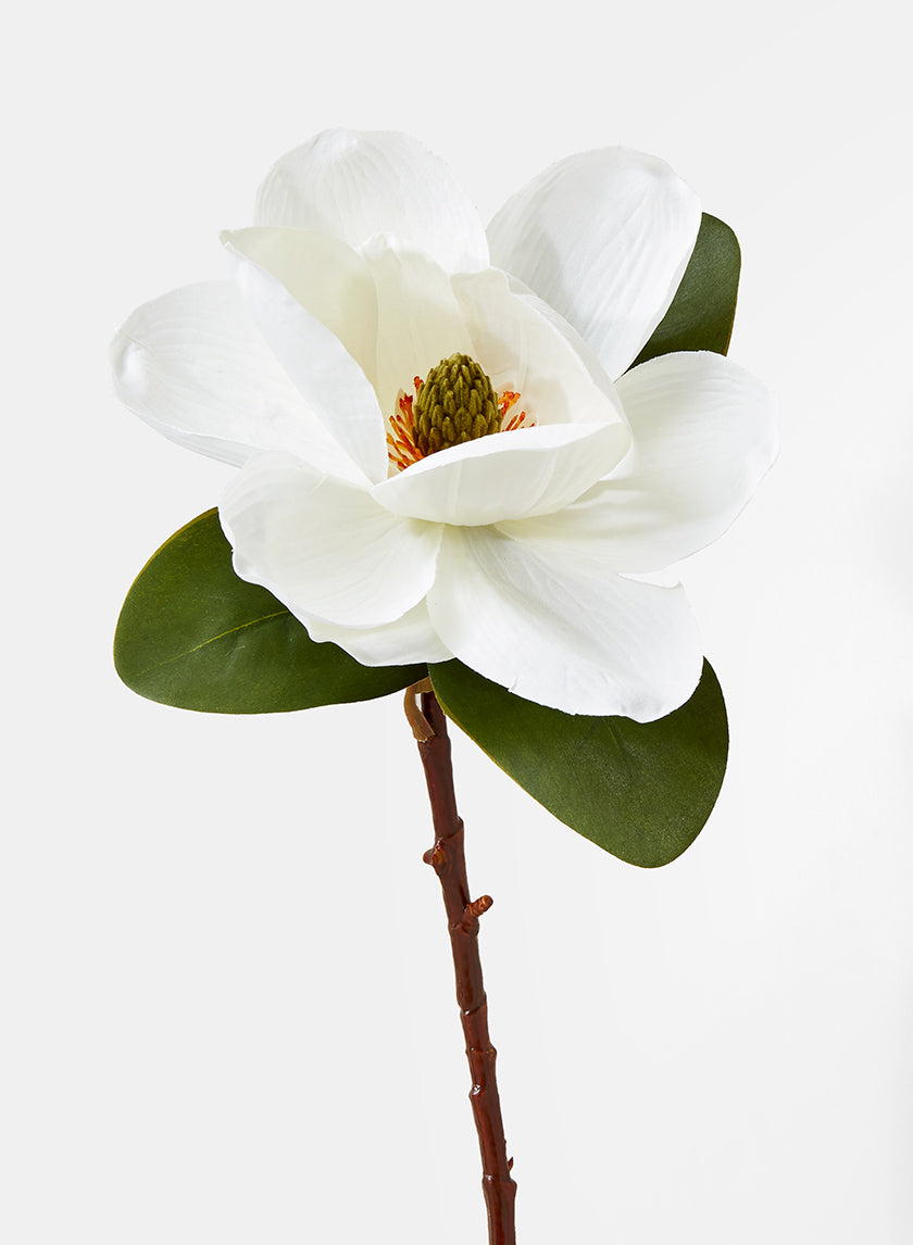 20in Long Magnolia