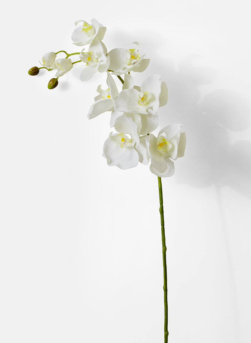 43in Long White Phalaenopsis Orchid Spray, Case of 12
