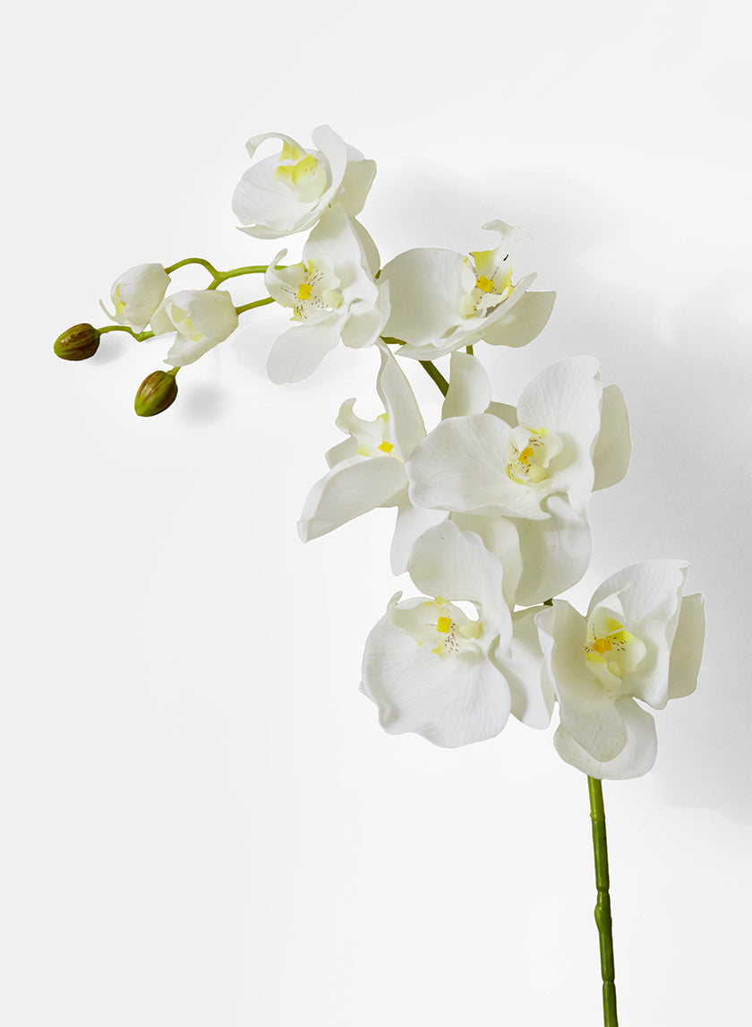 43in Long White Phalaenopsis Orchid Spray, Case of 12