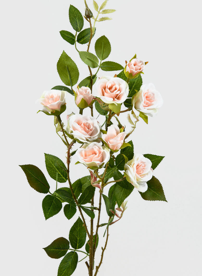 32in Long White & Pink Old China Monthly Rose
