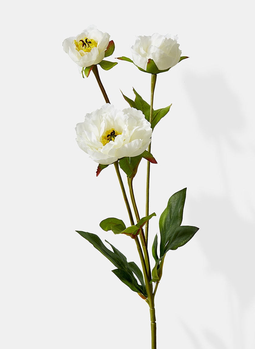 25.5in Long White Princess Peony