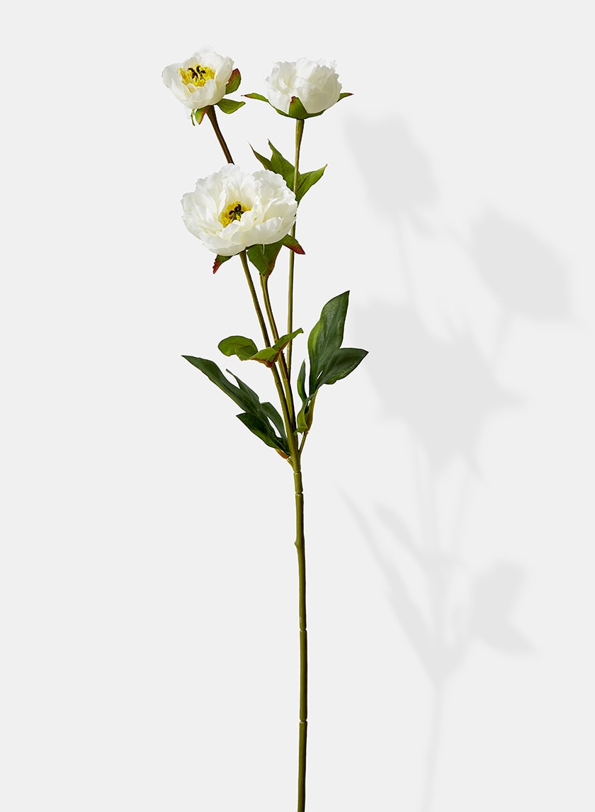 25.5in Long White Princess Peony