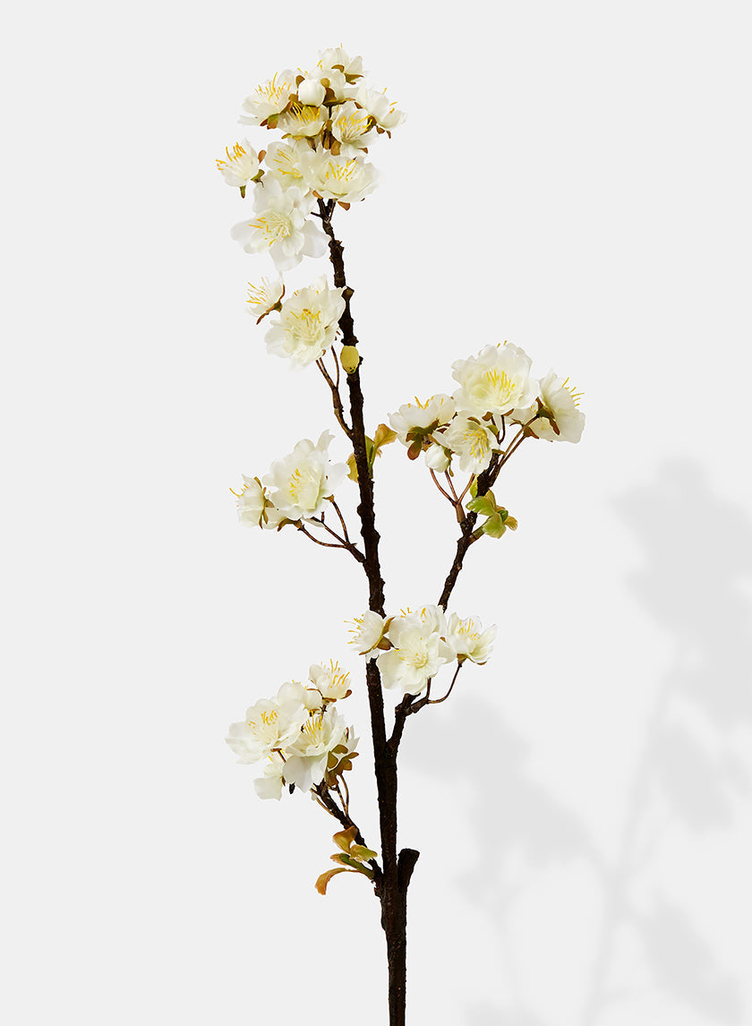 30in Long White Quince Spray, Case of 12