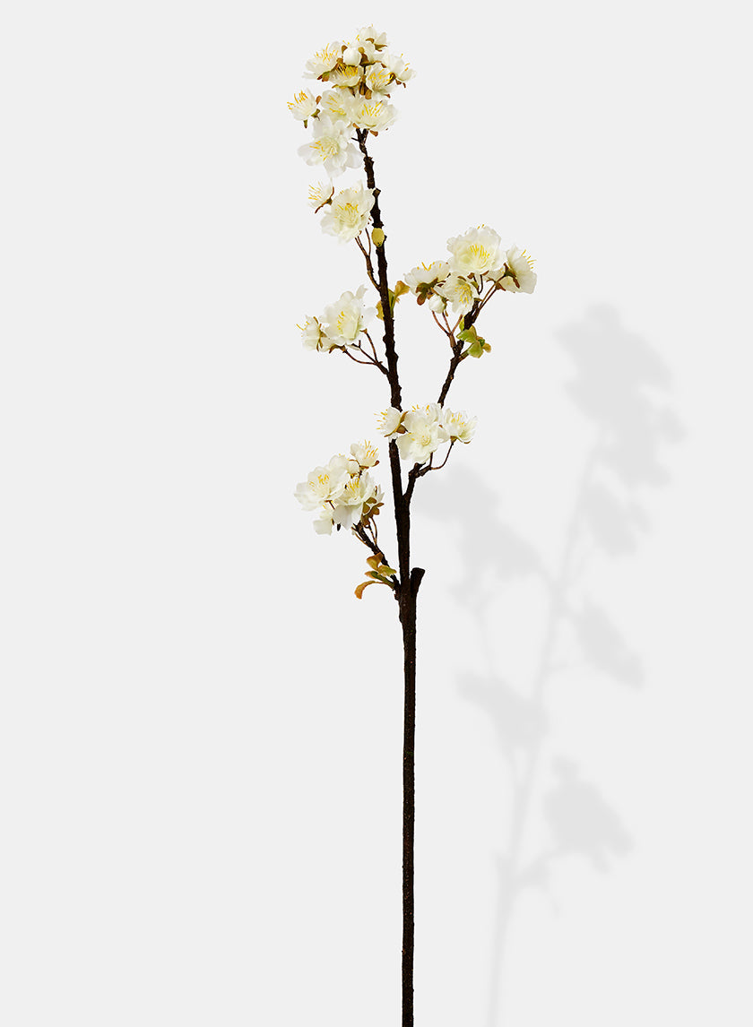 30in Long White Quince Spray, Case of 12