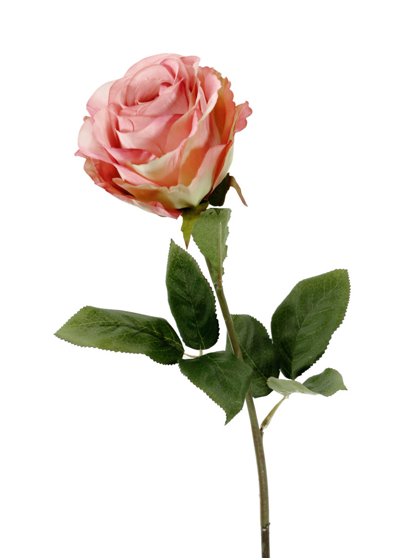 25in Long Pink Zhen Hui Large Rose